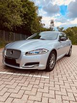 Jaguar XF 3.0 L V6 Diesel - PREMIUM LUXURY EDITION  - gebrauchte Jaguar XF aus dem Jahr 2012