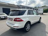 Mercedes-Benz ML 350 ML -Klasse ML 350 CDI BlueTec - Mercedes-Benz ML 350: Bluetec
