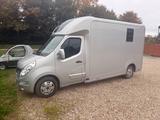 Renault Master STX Pferdetransporter