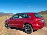 Audi Q5 3.0 TDI quattro S tronic,Leder,Navi,Standhzg - aus 2010: Geländewagen