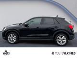 Audi Q2  35 TFSI Basis LED+NAVI+ACC - Audi Q2 in Magdeburg