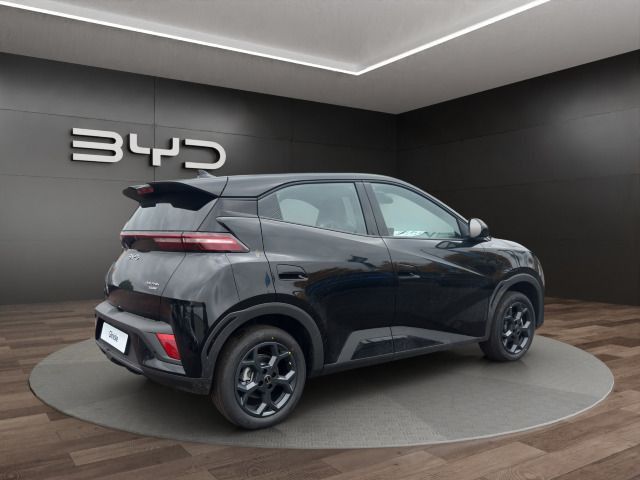 BYD DOLPHIN SURF