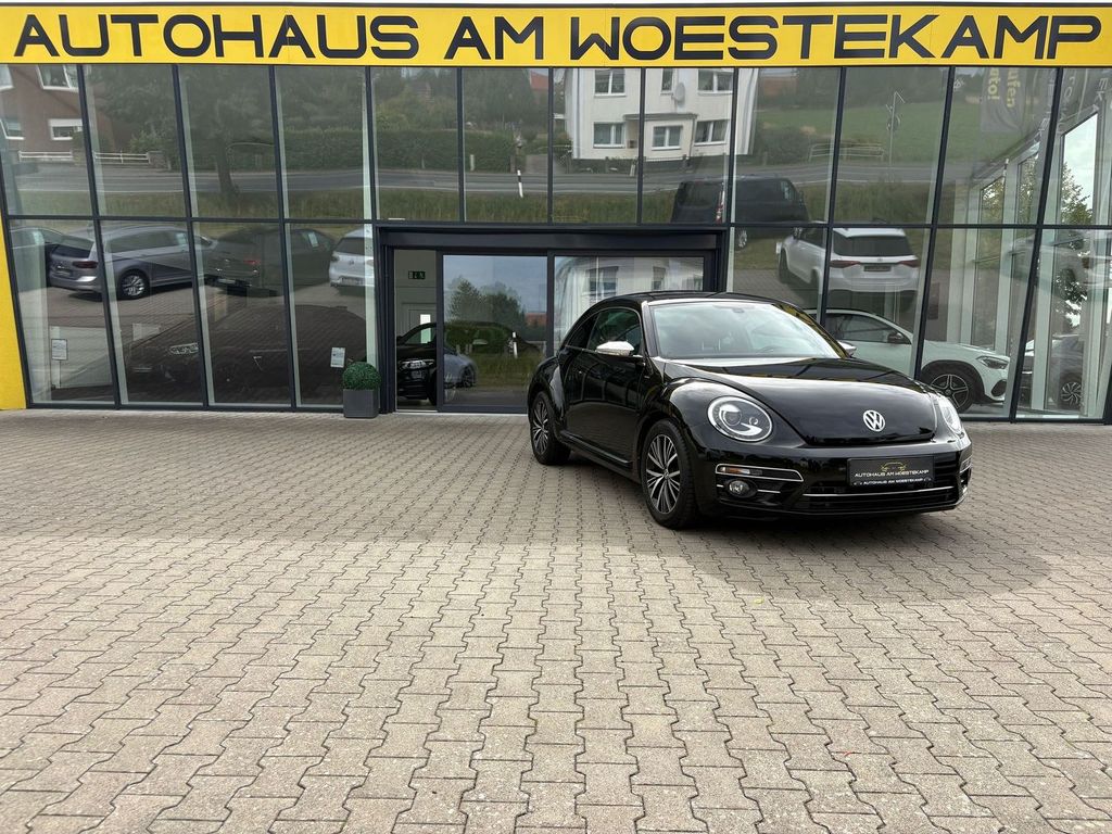 Image of Volkswagen Beetle