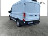 Ford Transit Kasten E 350 L2 Trend HAGELSCHADEN !!! - Ford Kühlkastenwagen Trans