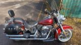 Harley-Davidson Softail Deluxe - Offers