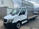 Mercedes-Benz Sprinter 316CDI*PRITSCHE*MAXI*XXL*GLASREFF*KLIMA - Mercedes-Benz Sprinter xxl