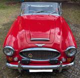 Austin Healey 3000 MKIII - gebrauchte Austin Healey Roadster