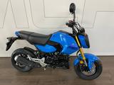 Honda MSX125 Grom 2025er Modell *Tageszulassung - 125ER