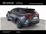 Lexus NX 450 h+ E-Four Business Line 15 Jahre Lexus Re - Lexus NX-Serie Tageszulassungen