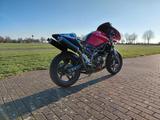 Cagiva Raptor 650 Trackbike Racebike Suzuki SV650 - CAGIVA RAPTOR