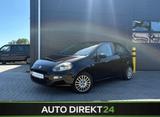 Fiat Punto More/TÜV NEU/KLIMA/5. Türen/Inspekt. Neu/ - Fiat Punto MORE mit Benzin-Antrieb