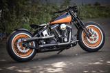 Harley-Davidson Springer Bobber Umbau Custom Softail - HARLEY-DAVIDSON 2004 SOFTAIL