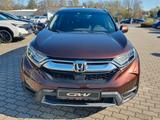 Honda CR-V 1.5 T 2WD Comfort "AHK 2-Tonnen" - Honda CR-V Comfort mit Benzin-Antrieb