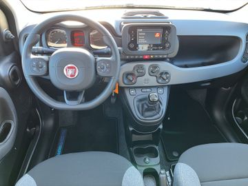Fiat Panda Hybrid 1.0 GSE Klma+DAB+Isofix+Allwetter
