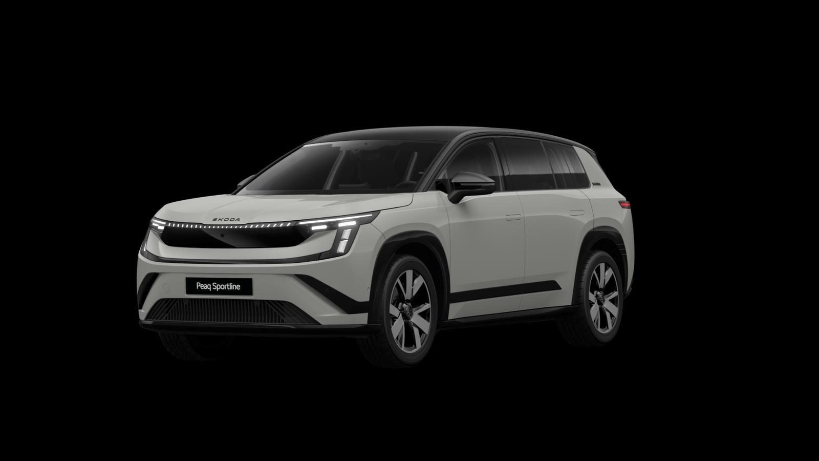 Skoda Andere - Bild 17
