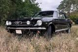 Ford Mustang Bj. 1965,V8,H-Zulassung - gebrauchte Ford Mustang aus dem Jahr 1965