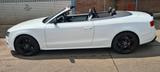 Audi S5 Cabrio - Audi TT aus 2010: Roadster
