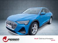 Audi e-tron - Vorschau Bild 1