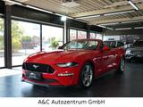 Ford Mustang 5.0 GT Cabrio - Ford Mustang Gebrauchtwagen