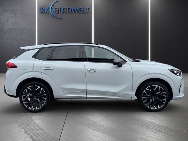 Terramar 2.0 TSI 4Drive VZ AHK Pano HuD