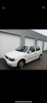 Volkswagen  VW Polo 6N 1.4 Joker Klima E Fenster Ser... - gebrauchte VW Polo aus dem Jahr 1999