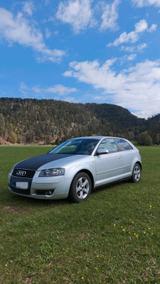 Audi A3 1.9 TDI   TÜV neu - Audi A3 aus 2003: 1.9