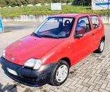 Fiat Seicento 1.1i BENZINA 55 CV - rote Fiat Seicento