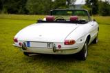 Alfa Romeo 1750, neuer Motor, Rundheck-Spider - Alfa Romeo: Moto