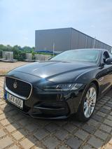 Jaguar XE D200 SE 1. Hand - Jaguar XE aus 2021