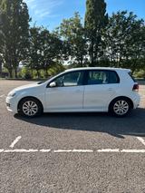 Volkswagen Golf 1.6 TDI BlueMotion BlueMotion - Volkswagen Golf aus 2011: Bluemotion