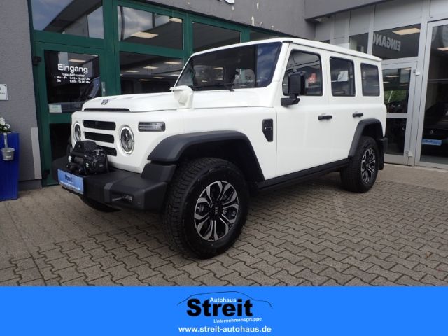 BAW 212 TCI 4WD Grün/Schwarz/Grau Leder Digitales Co