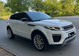 Andere Rang Rover Evoque - Andere mit Diesel-Antrieb