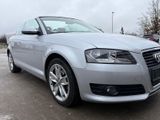 Audi A3 Cabriolet  71tkm/PDC / 1 Hand - Audi A3: Cab
