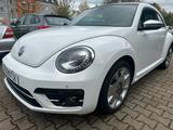 Volkswagen Beetle Lim. Fender Edition/Panorama - Volkswagen Beetle: Fender