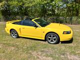 Ford Mustang Cabrio - gebrauchte Ford Mustang aus dem Jahr 2001