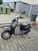 Andere Alpha Motors Venus 50ccm - BENZIN MOFA