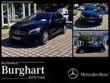 Mercedes-Benz A 200 CDI BlueEFFICIENCY AMG Sport Navi/Styling - Mercedes-Benz A 200 mit Diesel-Antrieb: Limousine