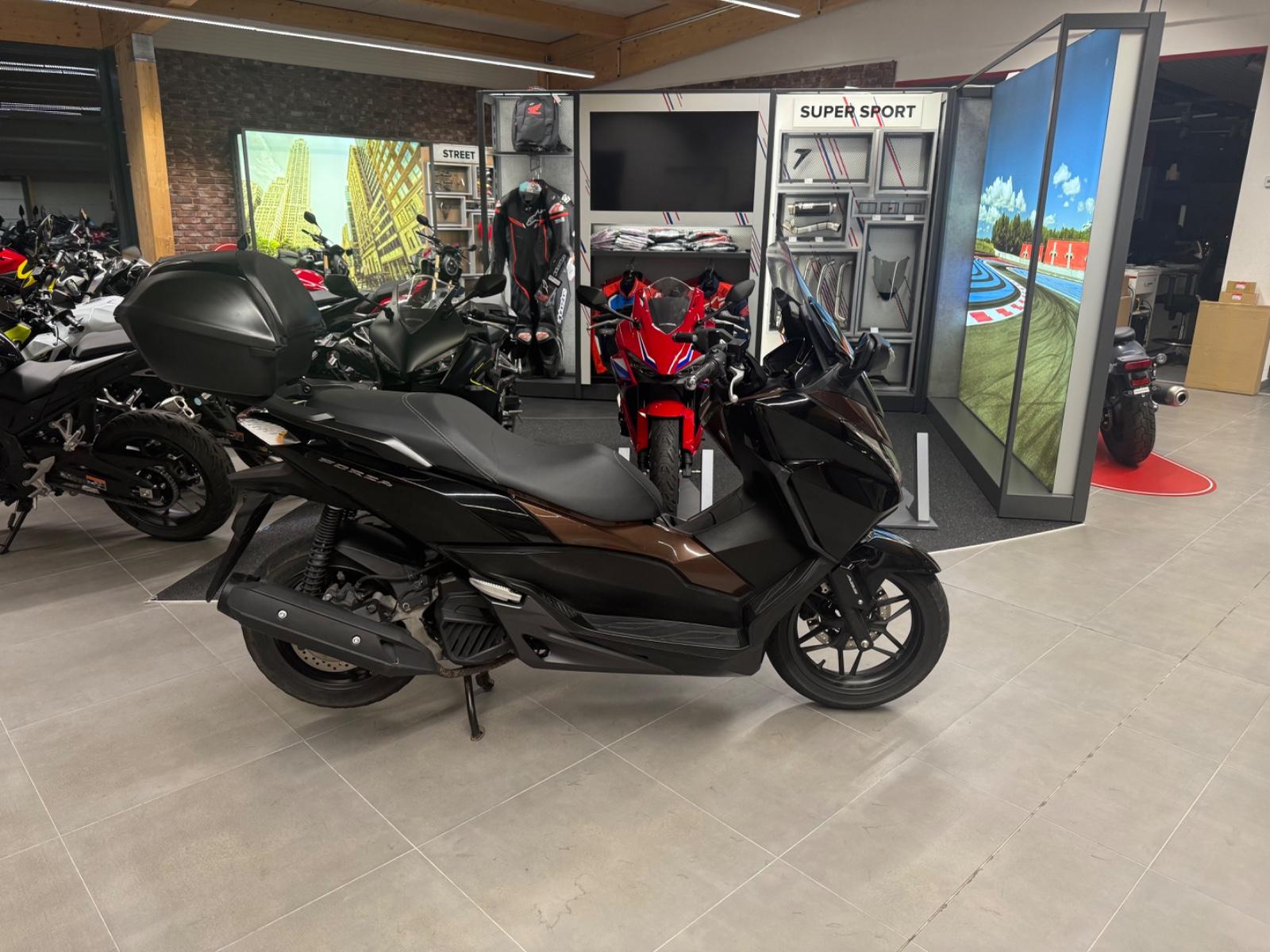 Honda Forza 125 *Service neu*
