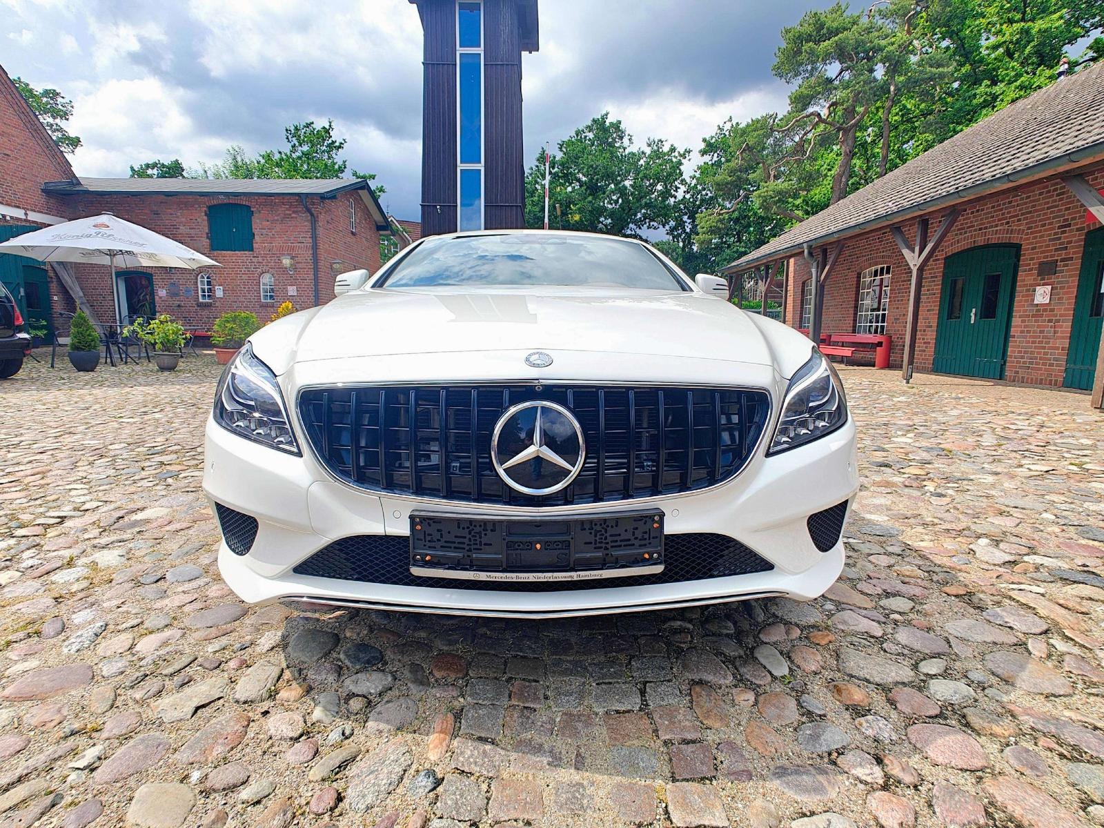 Mercedes-Benz CLS 250 CLS 250 CDI BlueTec MultiBeam /