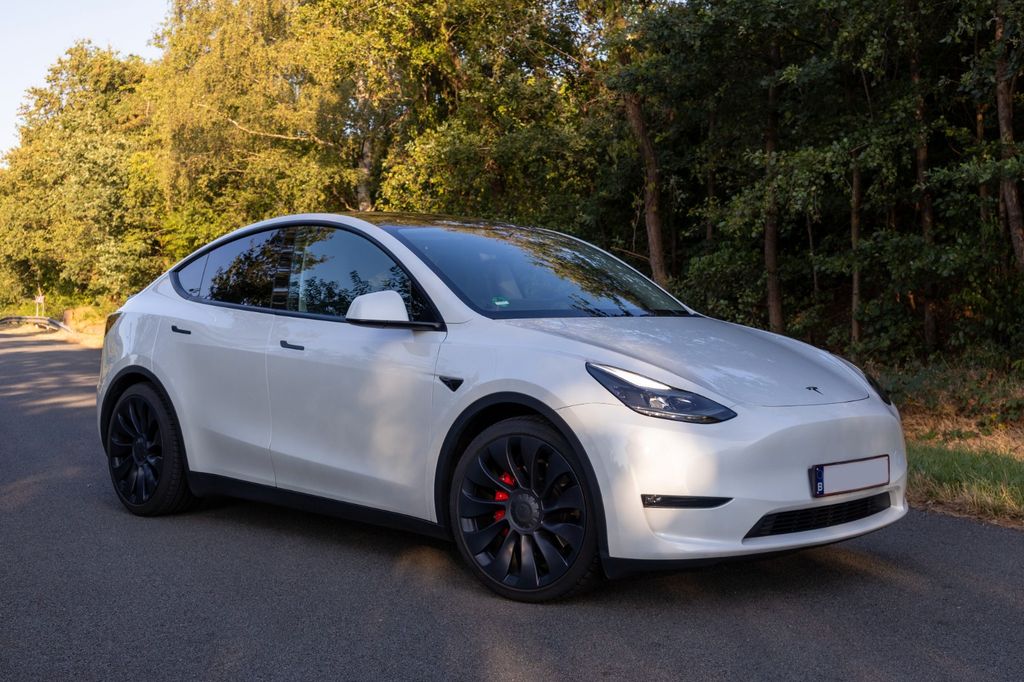 Image of Tesla Model Y