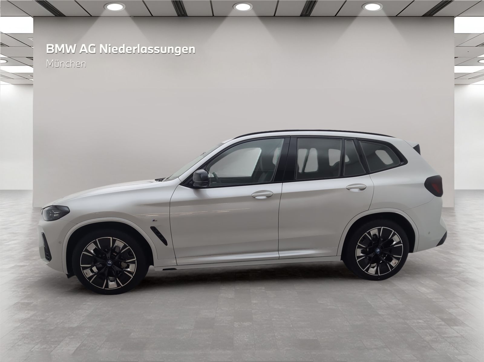 BMW iX3 M Sport Driv.Assist.Prof Harman K Head-Up foto 2