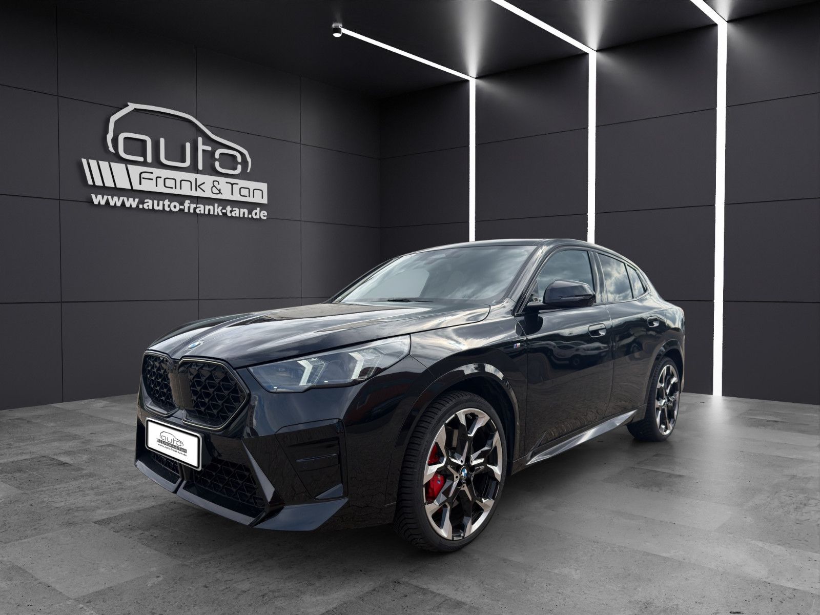 Fahrzeugabbildung BMW X2 sDrive M Sport*Head-up*Harman*360°Cam*DAB*
