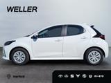 Toyota Yaris Hybrid 116 1.5 Business Edition *CAM*SHZ* - Toyota Neuwagen in Bielefeld