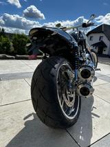 Harley-Davidson Street Rod - HARLEY-DAVIDSON STREET ROD