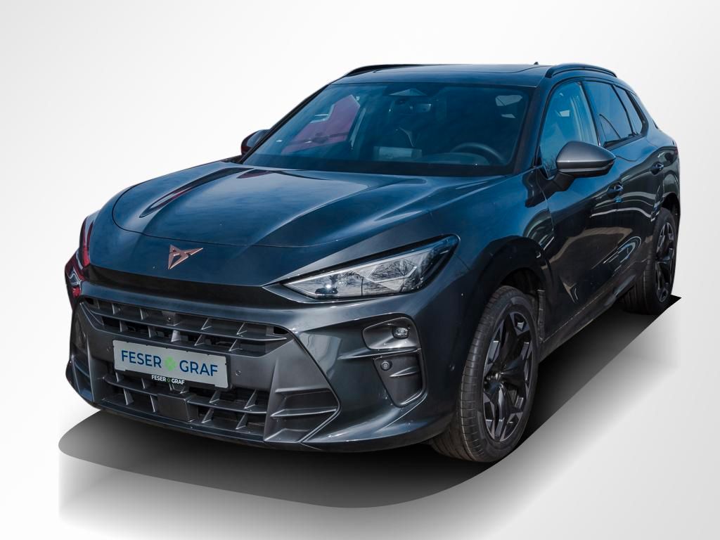 Cupra Terramar - Bild 14