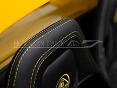 Fahrzeugabbildung Lotus Elise 240 Sport Final Edition 1.Hd. komplett PPF