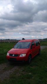 Volkswagen Caddy Maxi / Behindertentransport - Volkswagen Caddy Maxi aus 2009