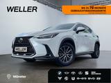Lexus NX 450h+ E-FOUR Executive Line *LED*360Grad*Lede - Lexus Jahreswagen