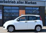 Fiat Panda 1.2 8V Pop 03/2027 TÜV - Fiat Panda: 2t