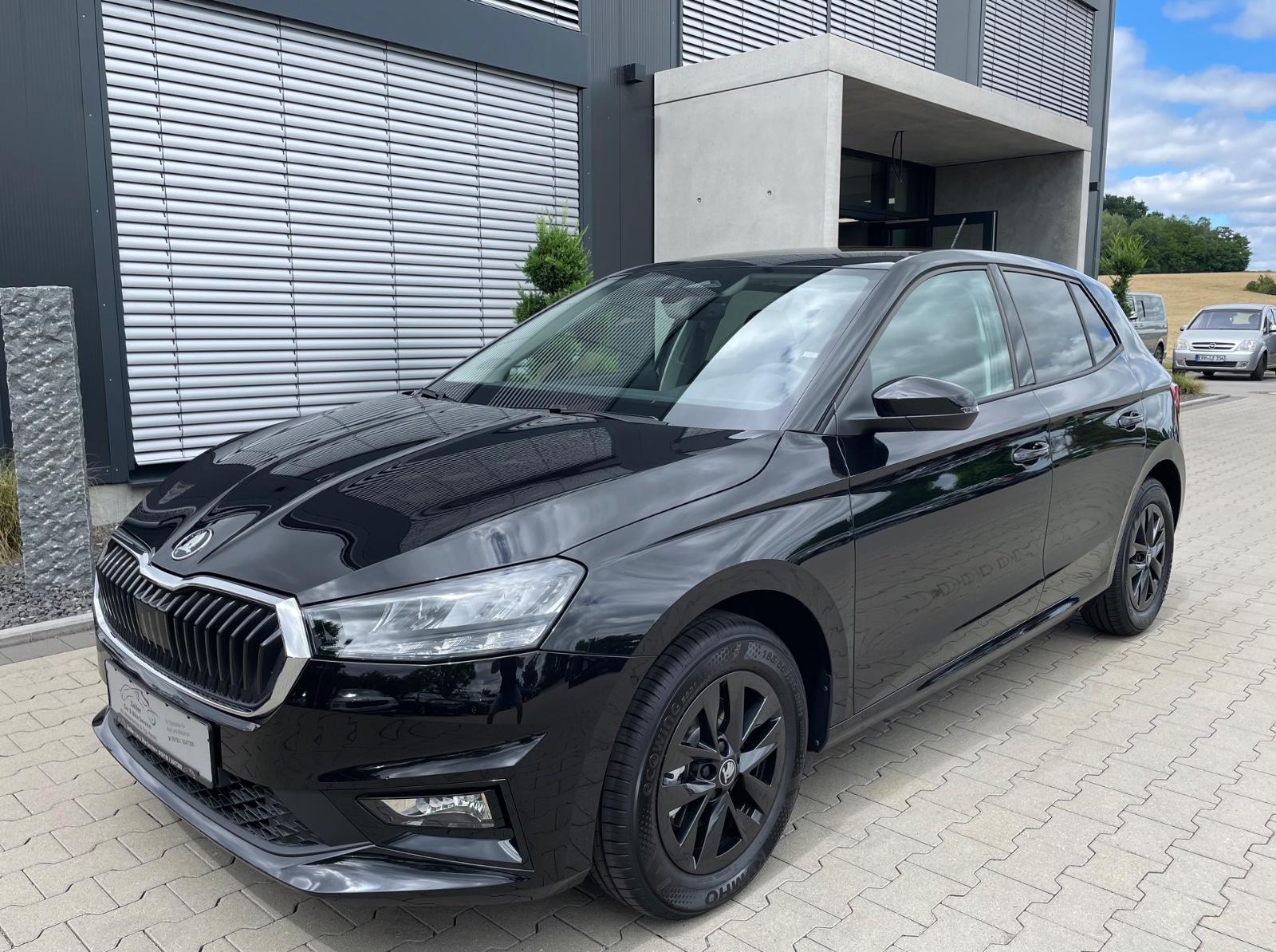 Skoda Fabia 1.0 TSI DSG Selection/Sitz+Lenkradheizung